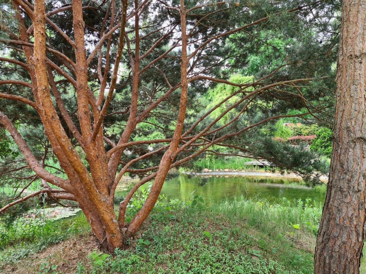 Ferienwohnungen Margaretenhof, Plaue Margarethenhof Екстер'єр фото